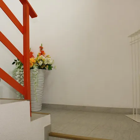 Hollandia Domasa - Nová Kelča, Prešovský Kraj Kelca