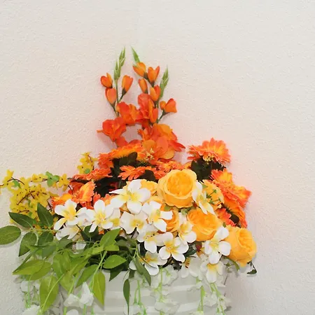 Hollandia Domasa - Nová Kelča, Prešovský Kraj Casa de hóspedes Kelca