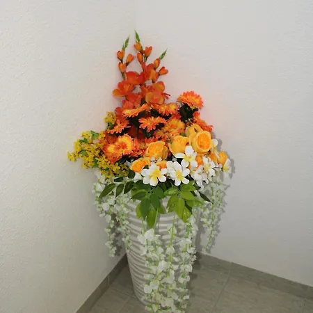 Hollandia Domasa - Nová Kelča, Prešovský Kraj